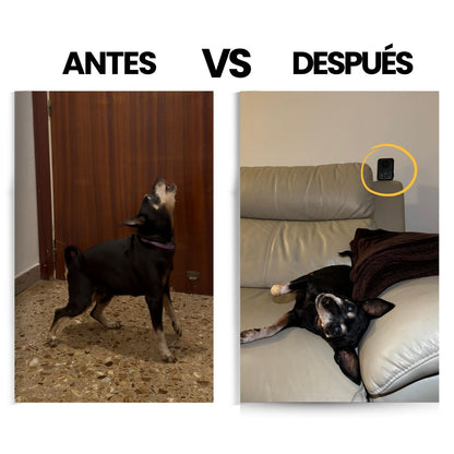 Dispositivo Antiladridos para perros